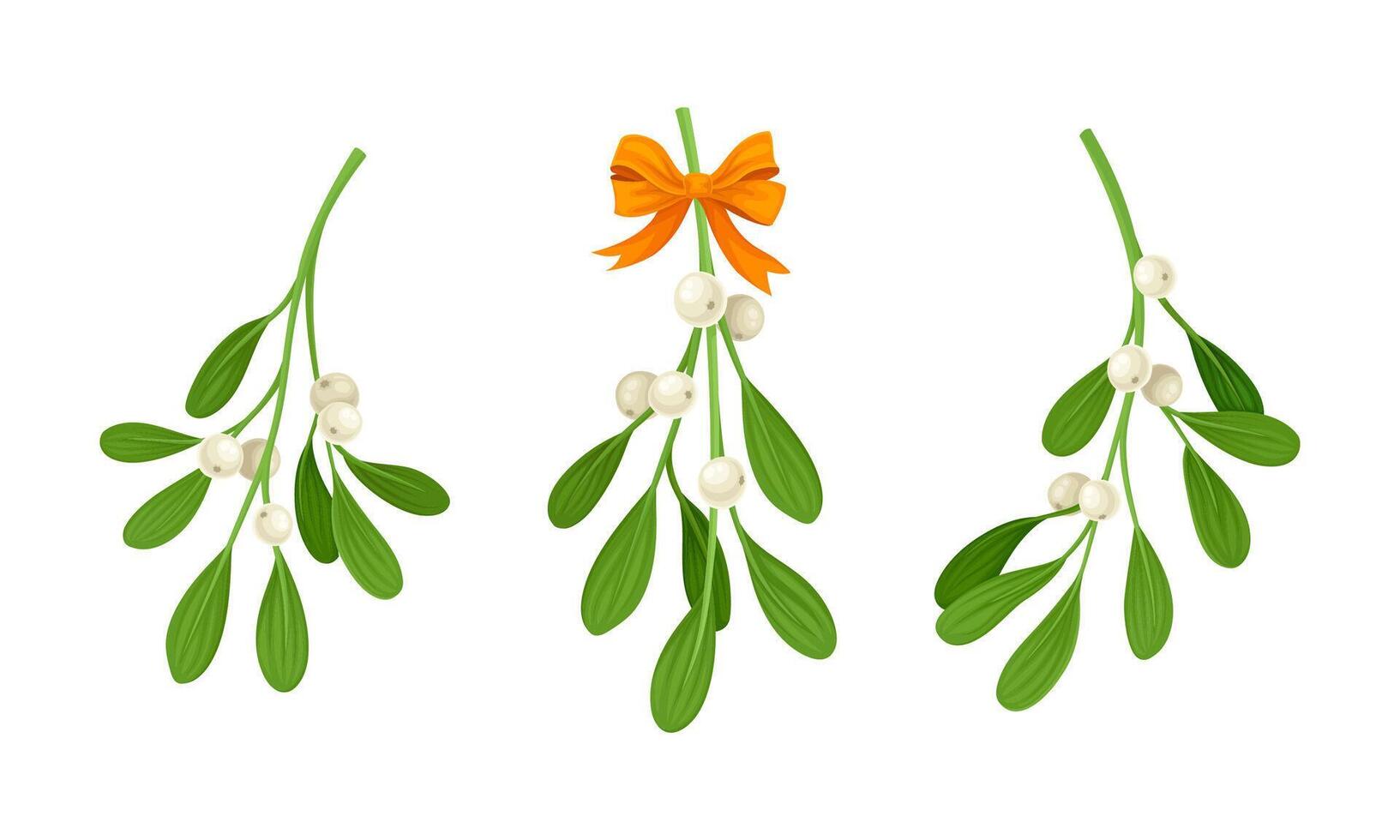 Snowberry branches with ripe berries set illustration on white background vector