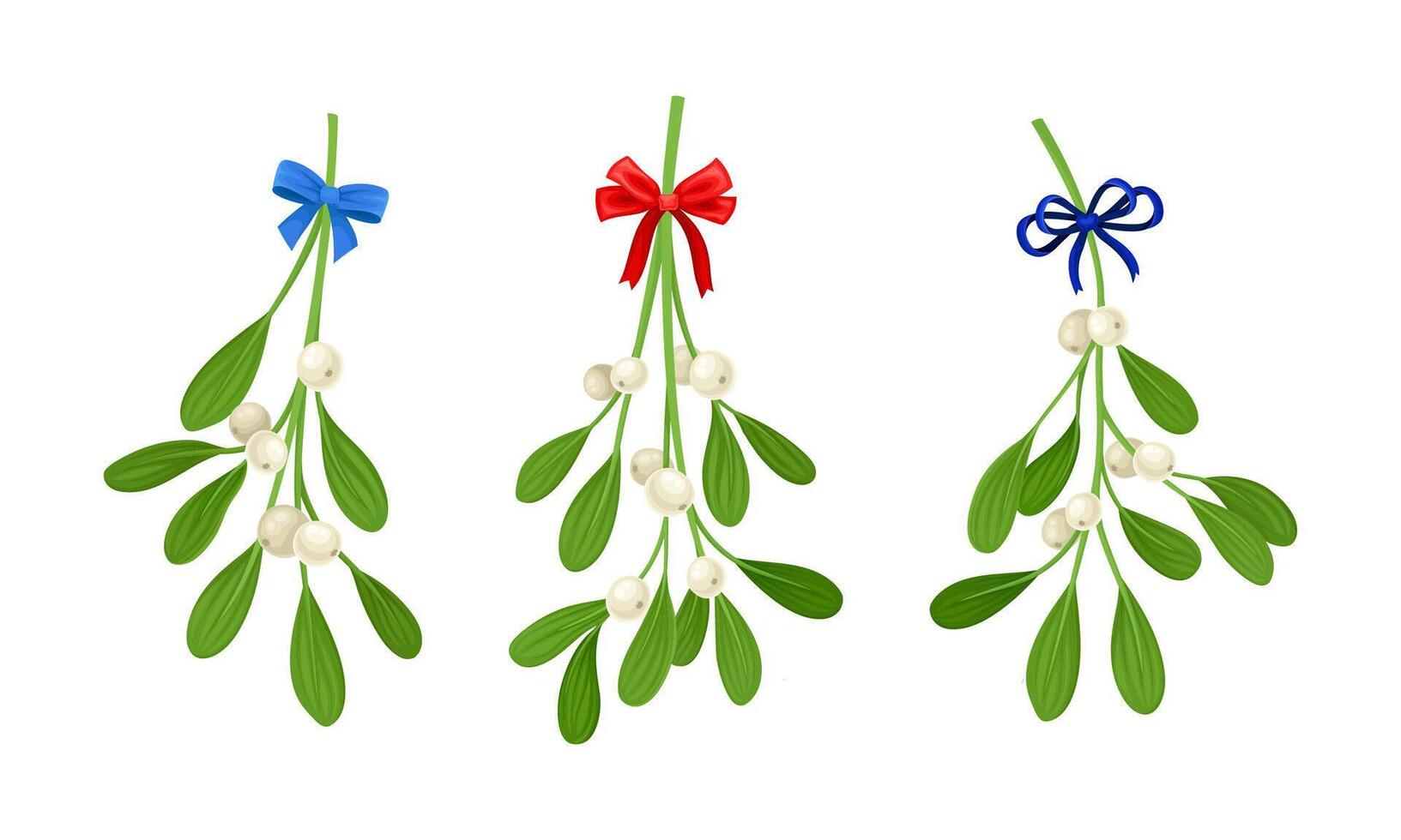 Snowberry branches with ripe berries decorated with blue and red bows set. Small twigs of shrub with white fruit illustration vector