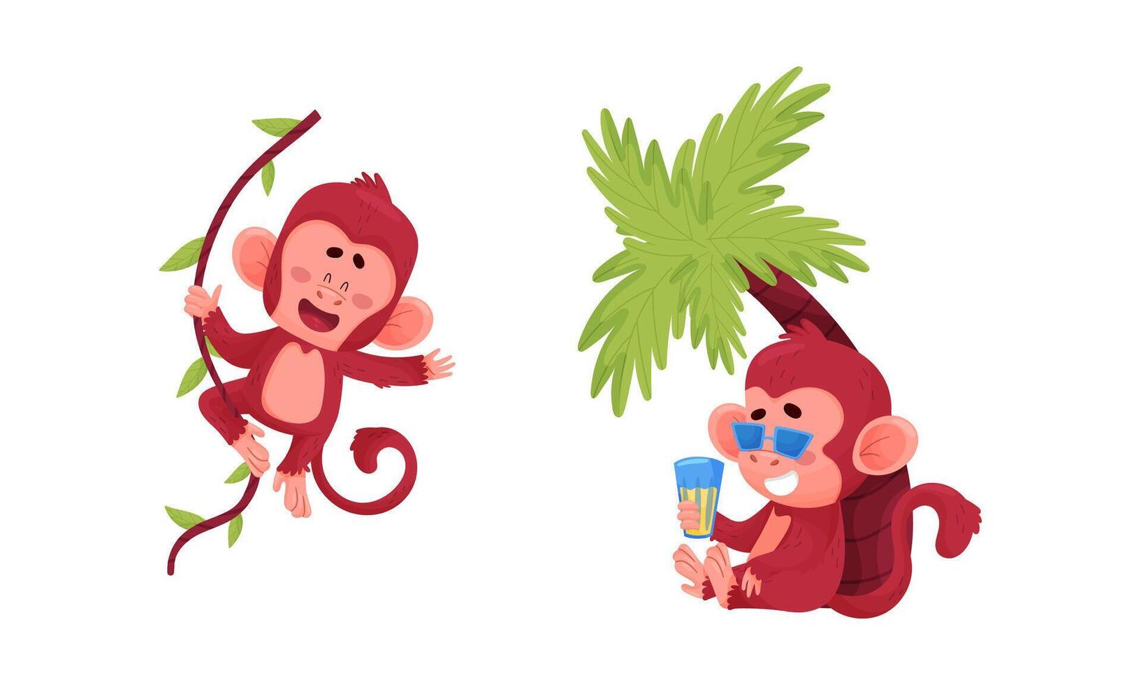 Cute funny monkeys actions set. Little baby animals hanging on vine and relaxing under palm tree illustration vector