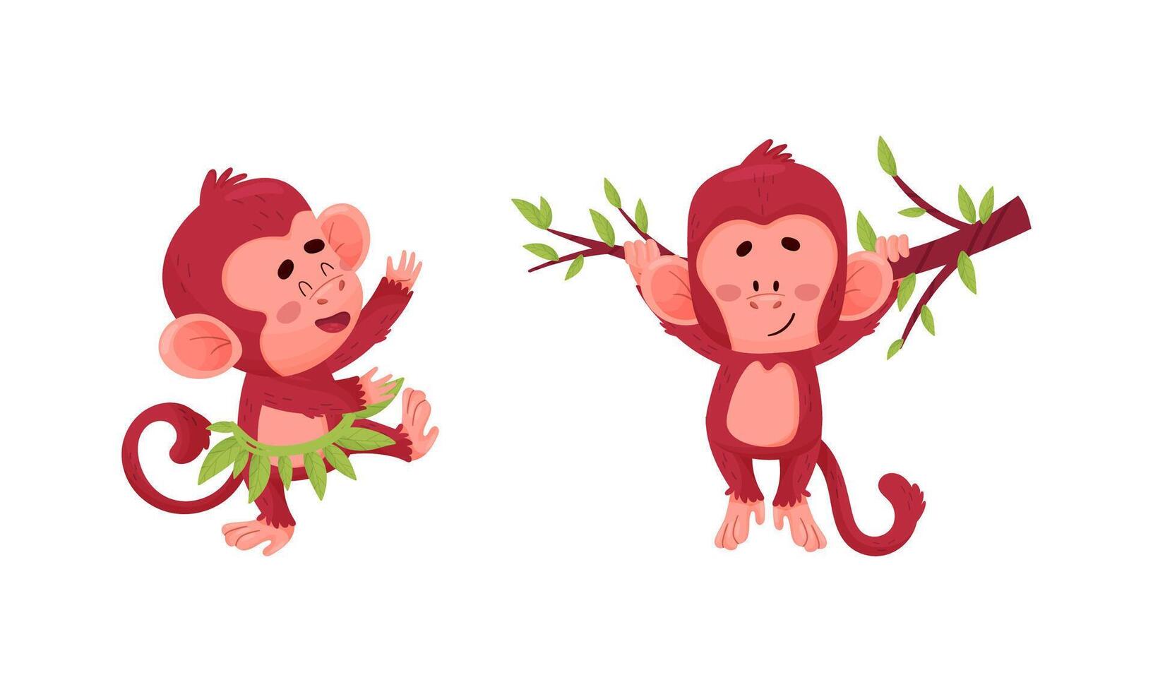 Cute funny monkeys actions set. Little baby animals having fun and hanging on tree branch illustration vector