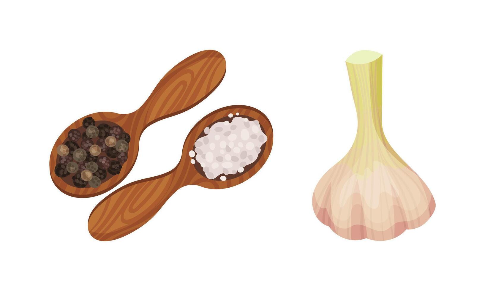 Spice set. Garlic, pepper and salt in wooden spoons illustration vector