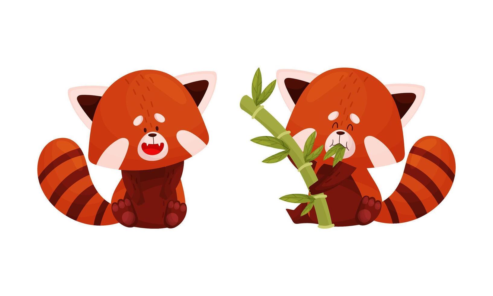 Red panda set. Cute wild animal character eating bamboo illustration vector