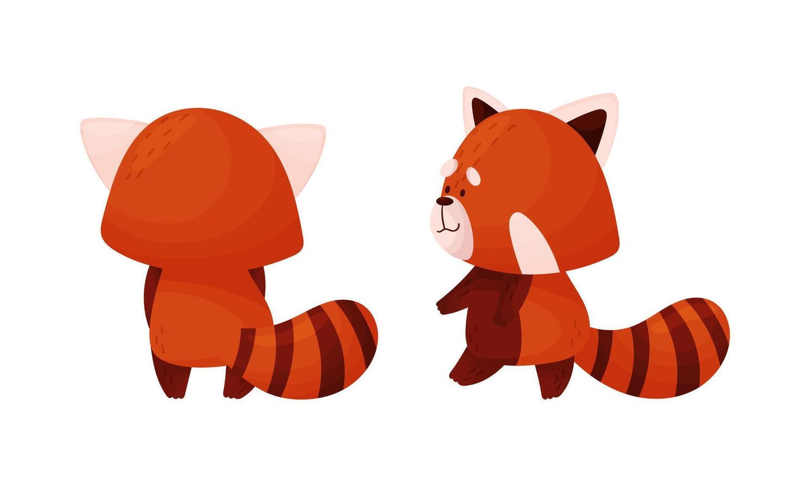 Red panda in different actions set. Cute wild animal character, side and back view illustration vector
