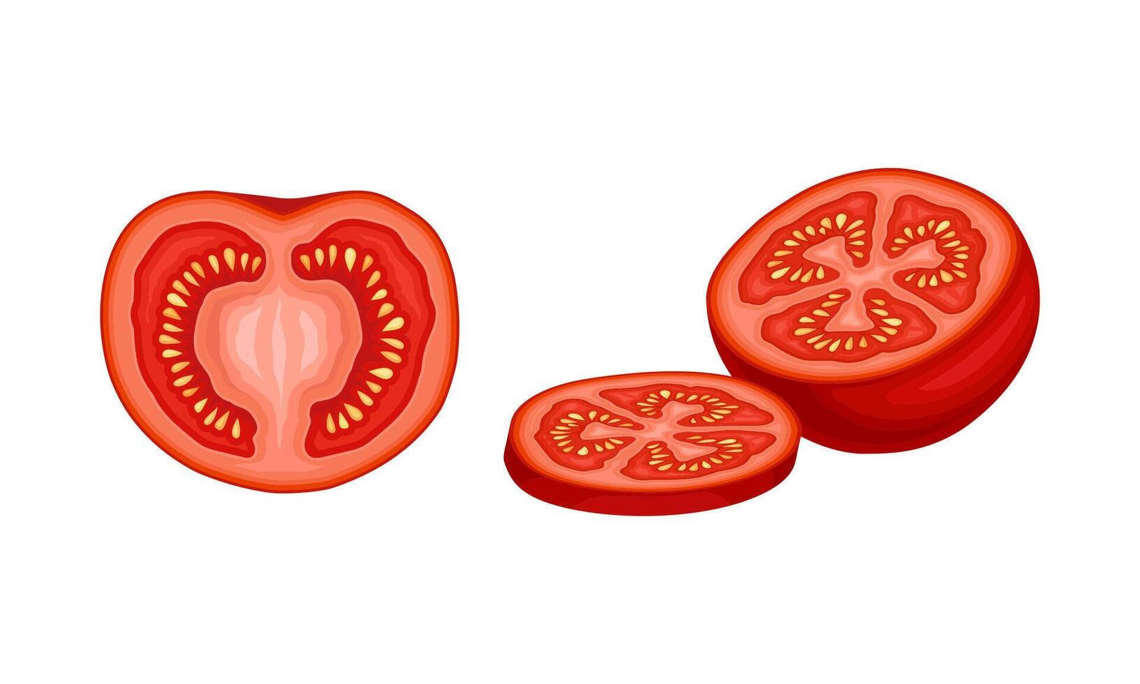 Fresh red ripe sliced tomato. Organic natural farm food illustration vector