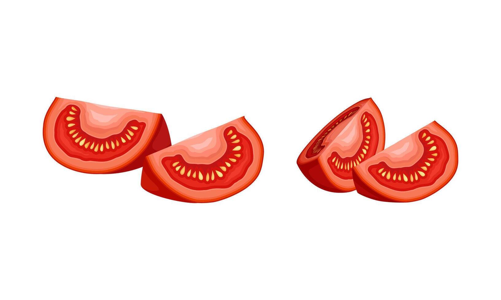 Fresh ripe sliced tomato, natural organic product illustration vector