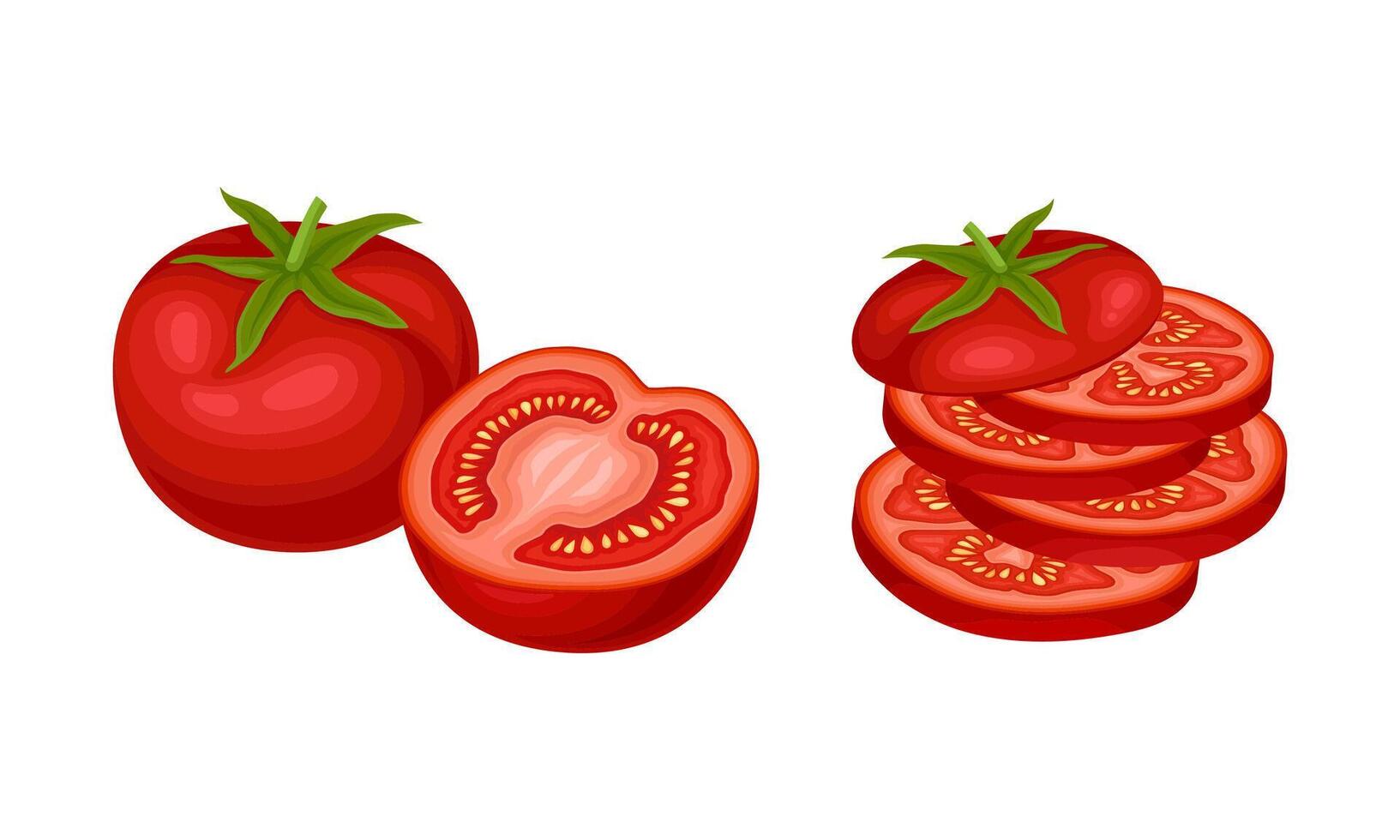 Set of whole and sliced fresh tomatoes. Organic natural farm food illustration vector