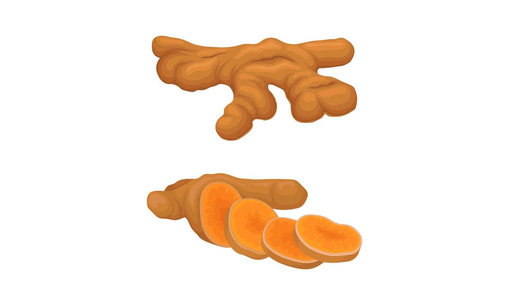 Whole and sliced fresh ginger root set. Aromatic spice, natural organic food illustration vector