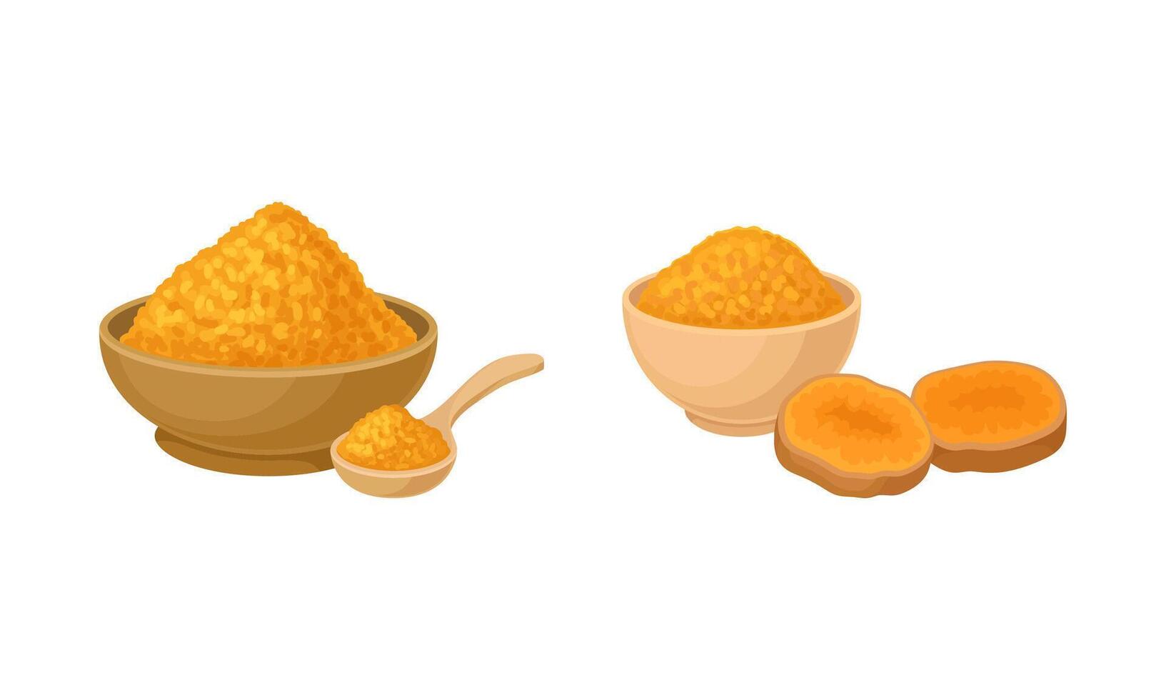 Ginger root and powder in bowl. Natural organic food, aromatic spice illustration vector