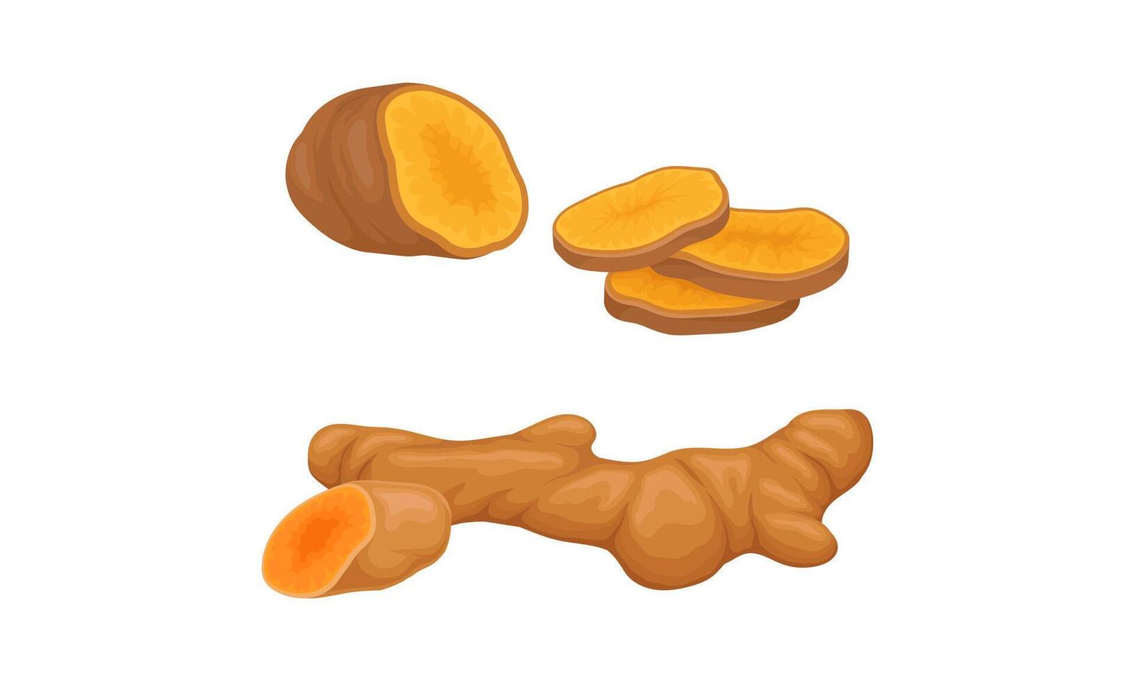 Fresh ginger root with slices, aromatic spice set. Natural organic food illustration vector
