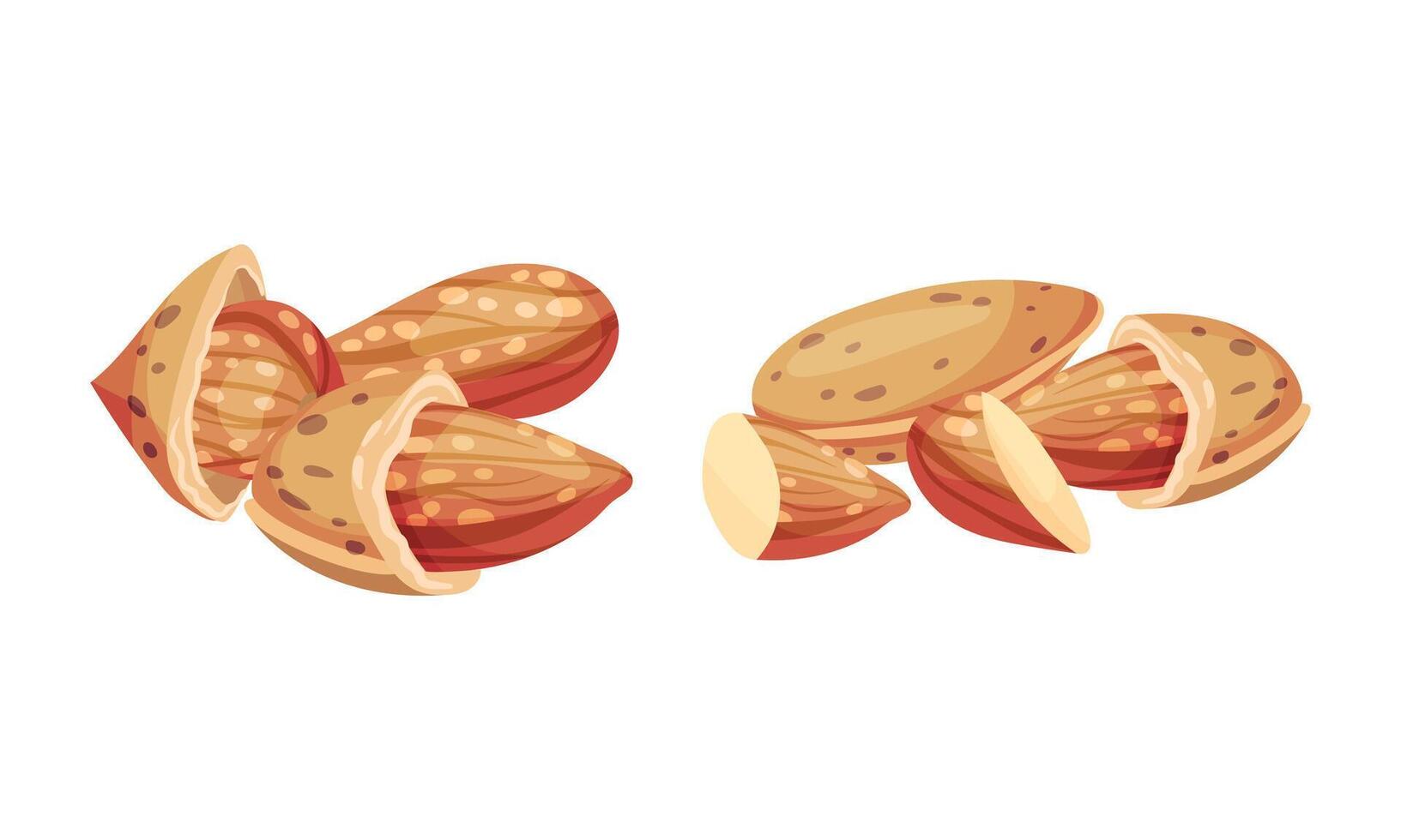 Almond kernels in nutshell set. Healthy organic nutritious vegetarian product illustration vector