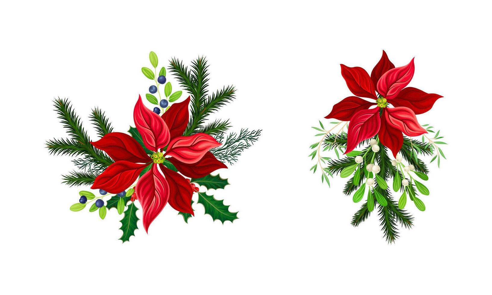 Poinsettia flower set. Christmas decorations with red flowers and fir tree branches illustration vector