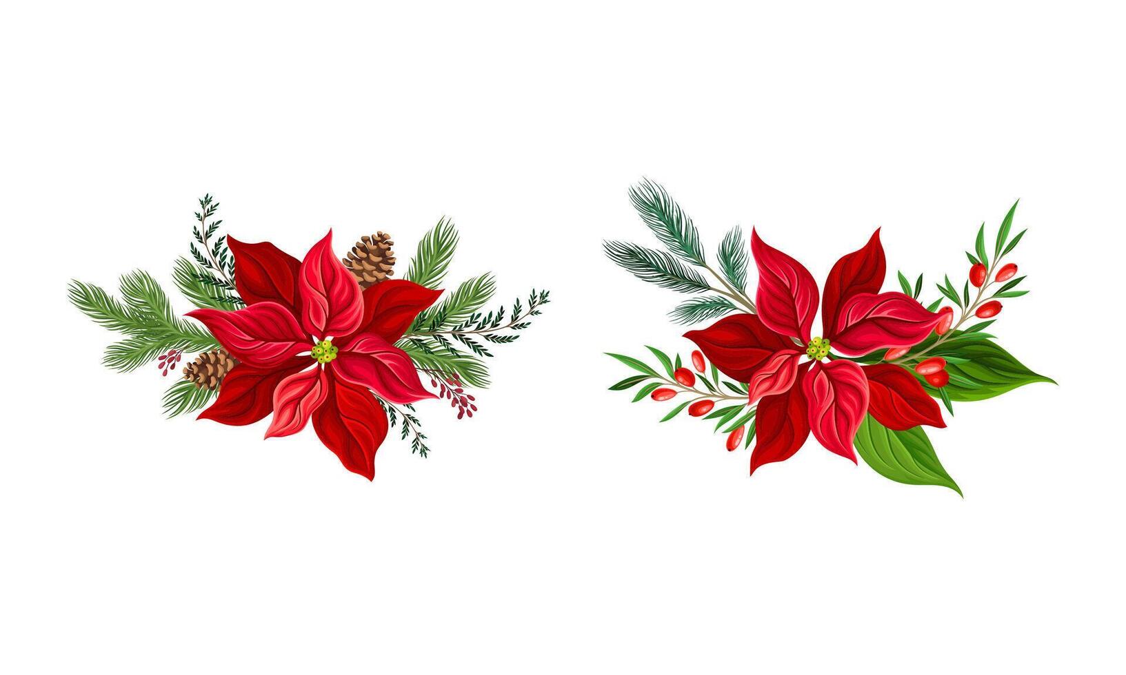 Poinsettia flower set. Christmas decorations with red flower, fir tree branches, cones and holly illustration vector