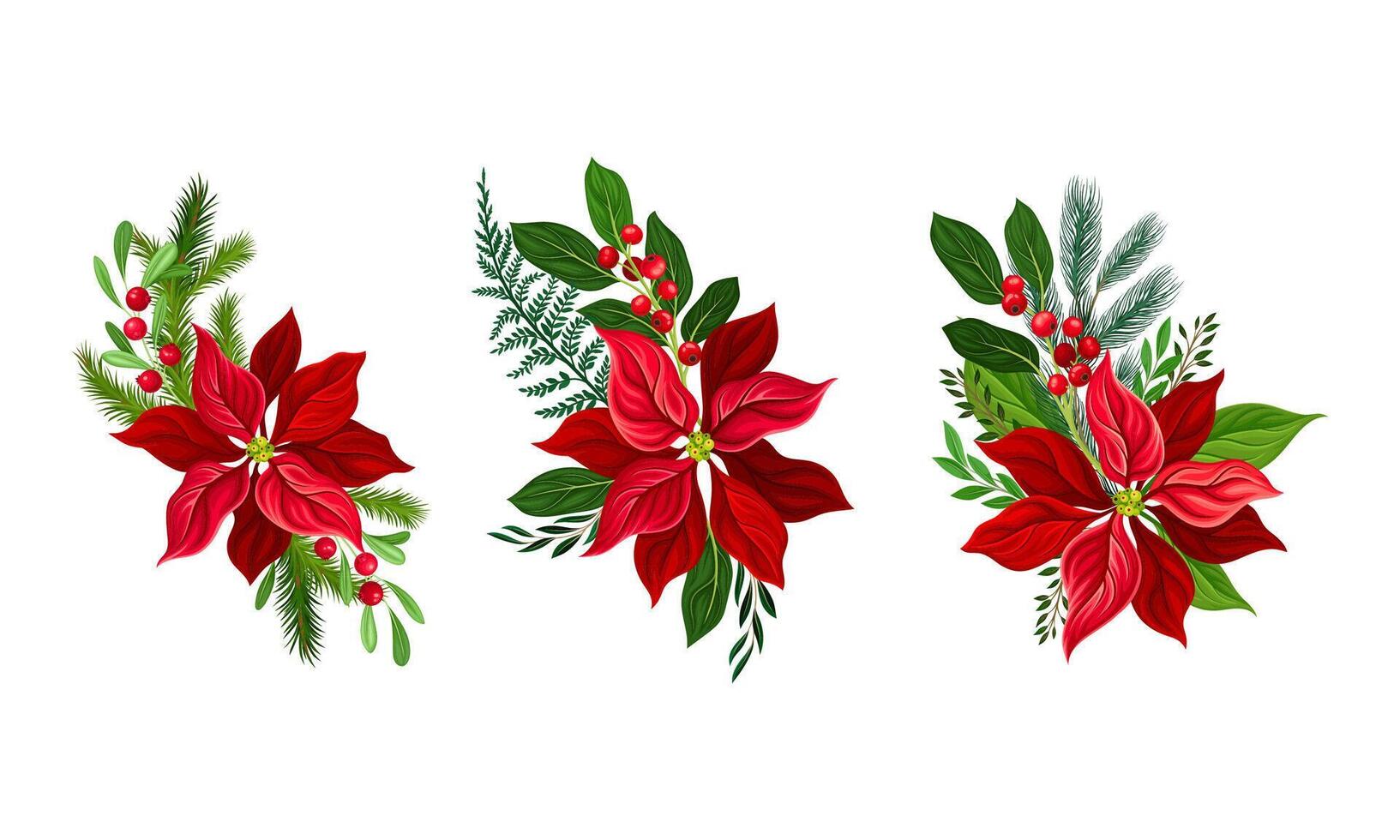 Red poinsettia flower set. Christmas decorations with beautiful flower and fir tree branches illustration vector