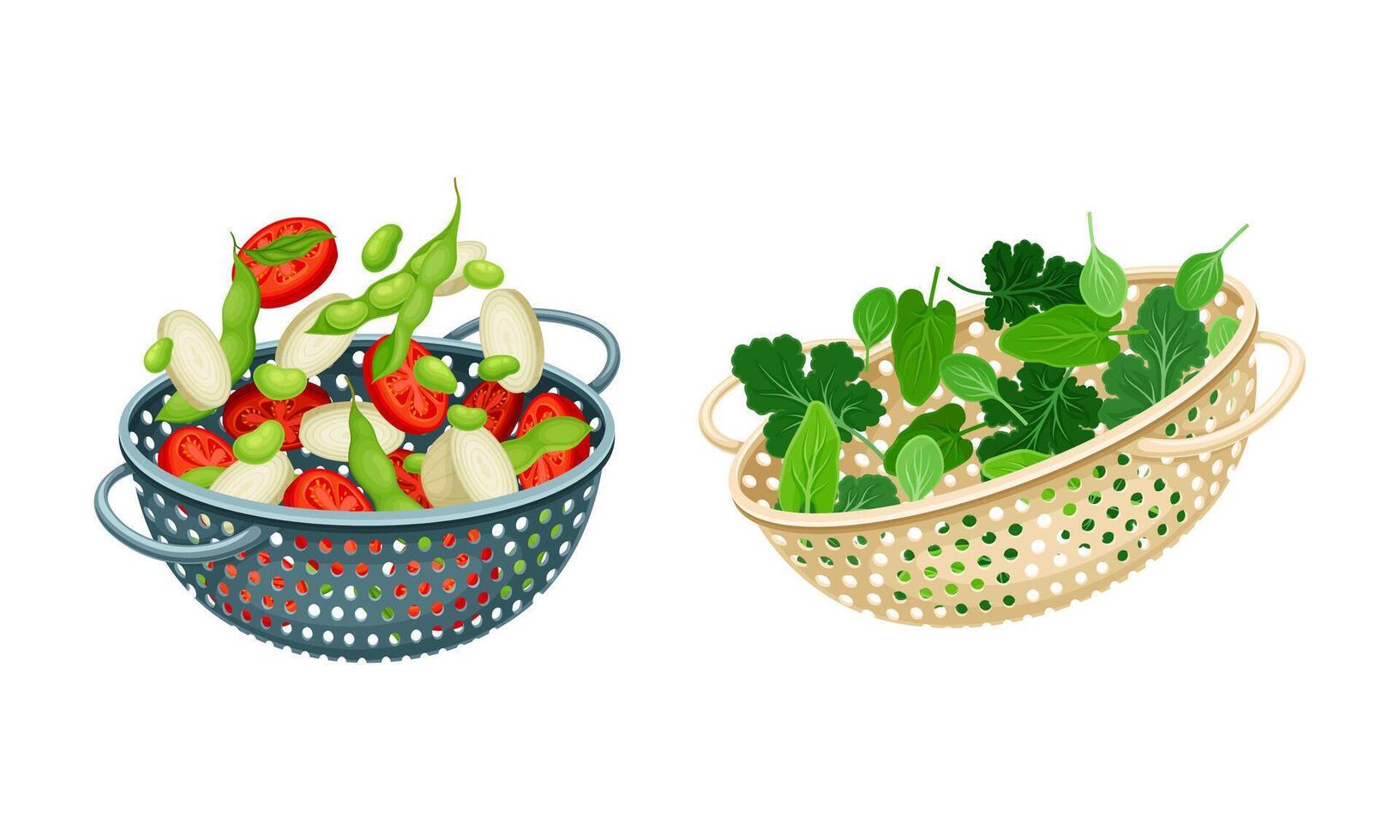 Vegetables in kitchen colander set. Strainers full of tomato, bean, peas, greenery. Healthy organic food illustration vector