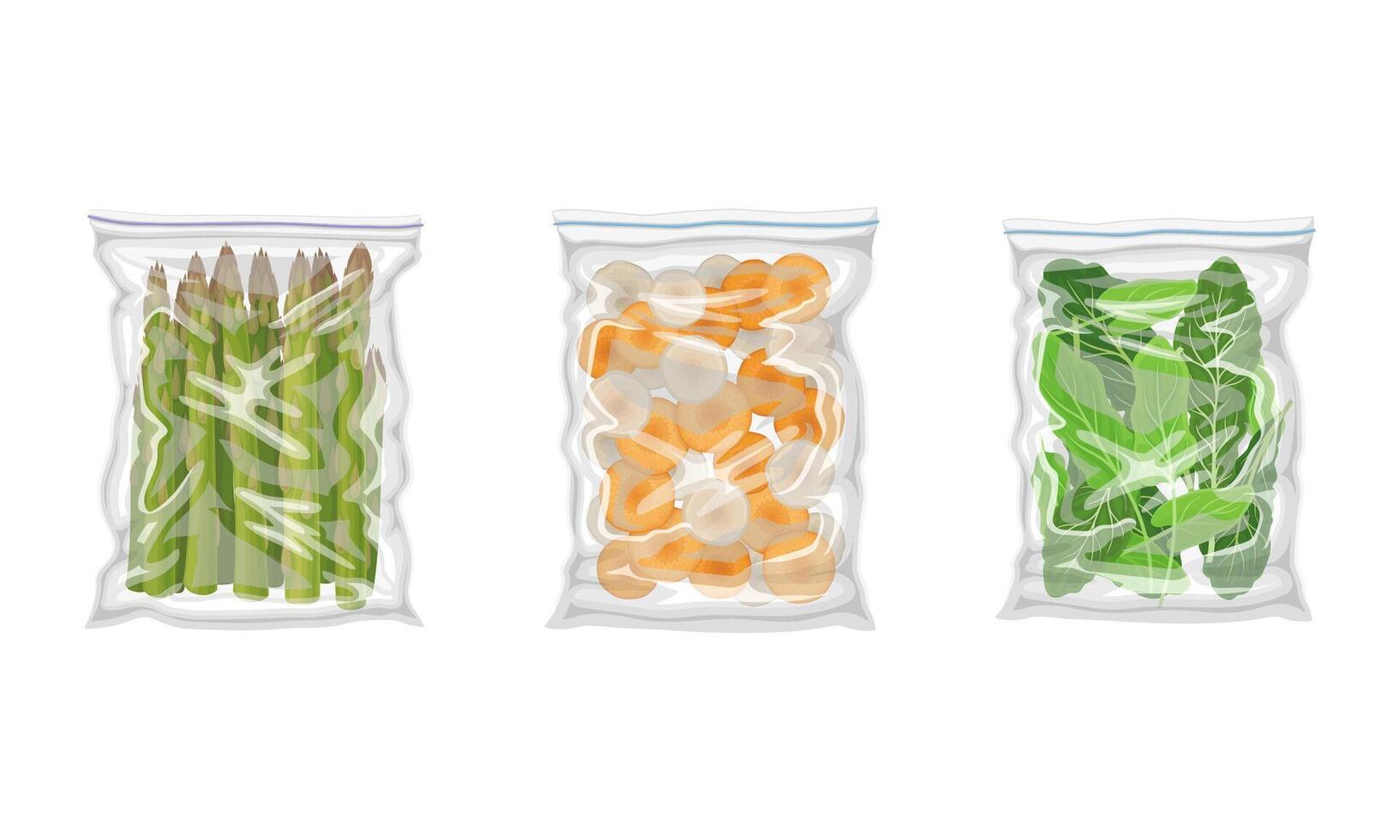 Frozen Carrot and Asparagus Prepackaged and Ready to Culinary Use Set vector