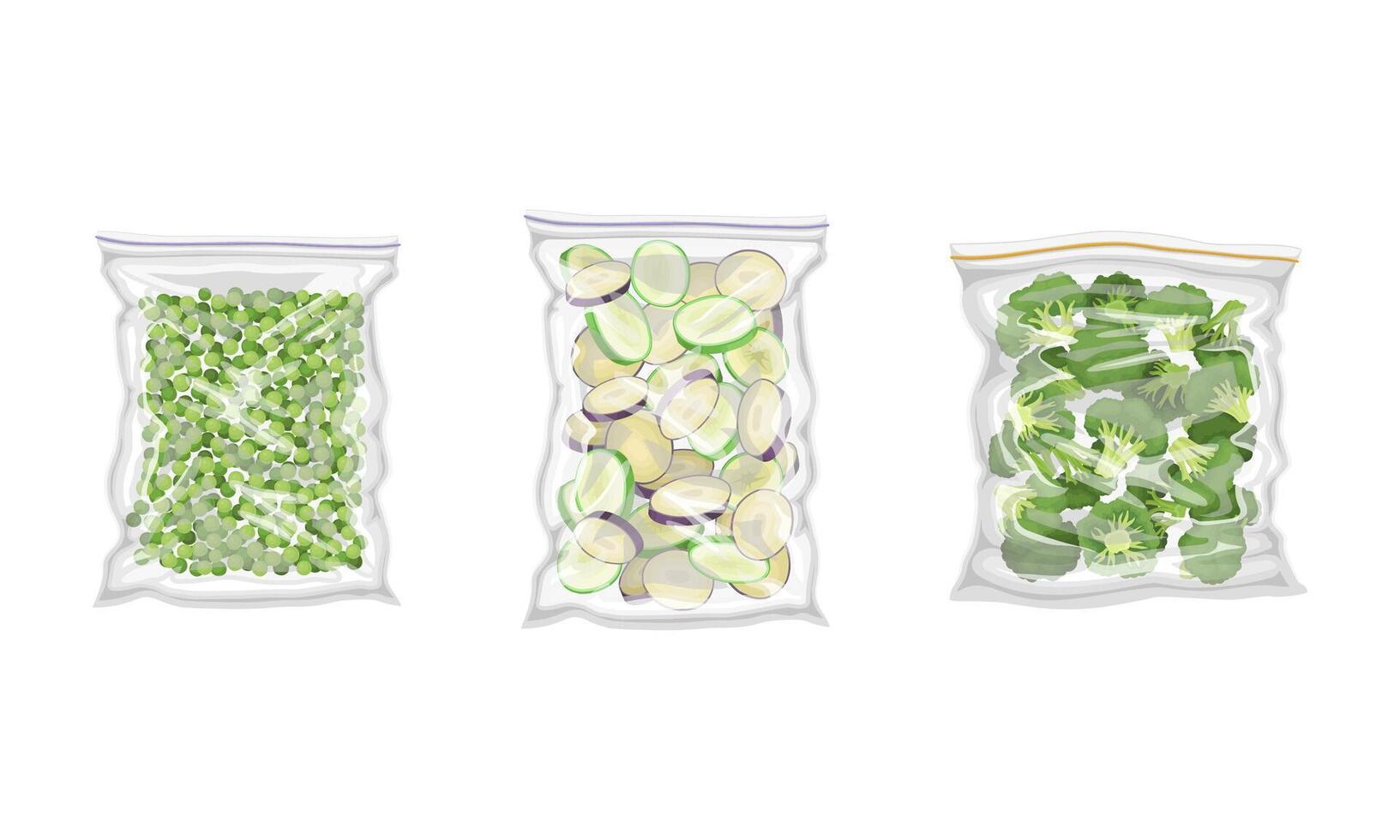Frozen Green Pea and Broccoli Prepackaged and Ready to Culinary Use Set vector
