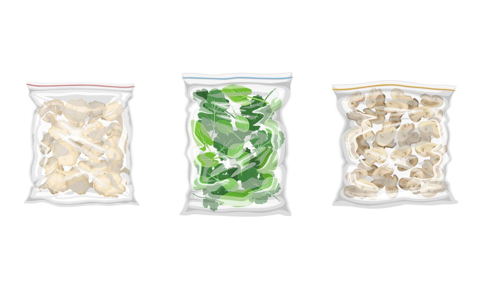 Frozen Mushrooms and Cauliflower Prepackaged and Ready to Culinary Use Set vector
