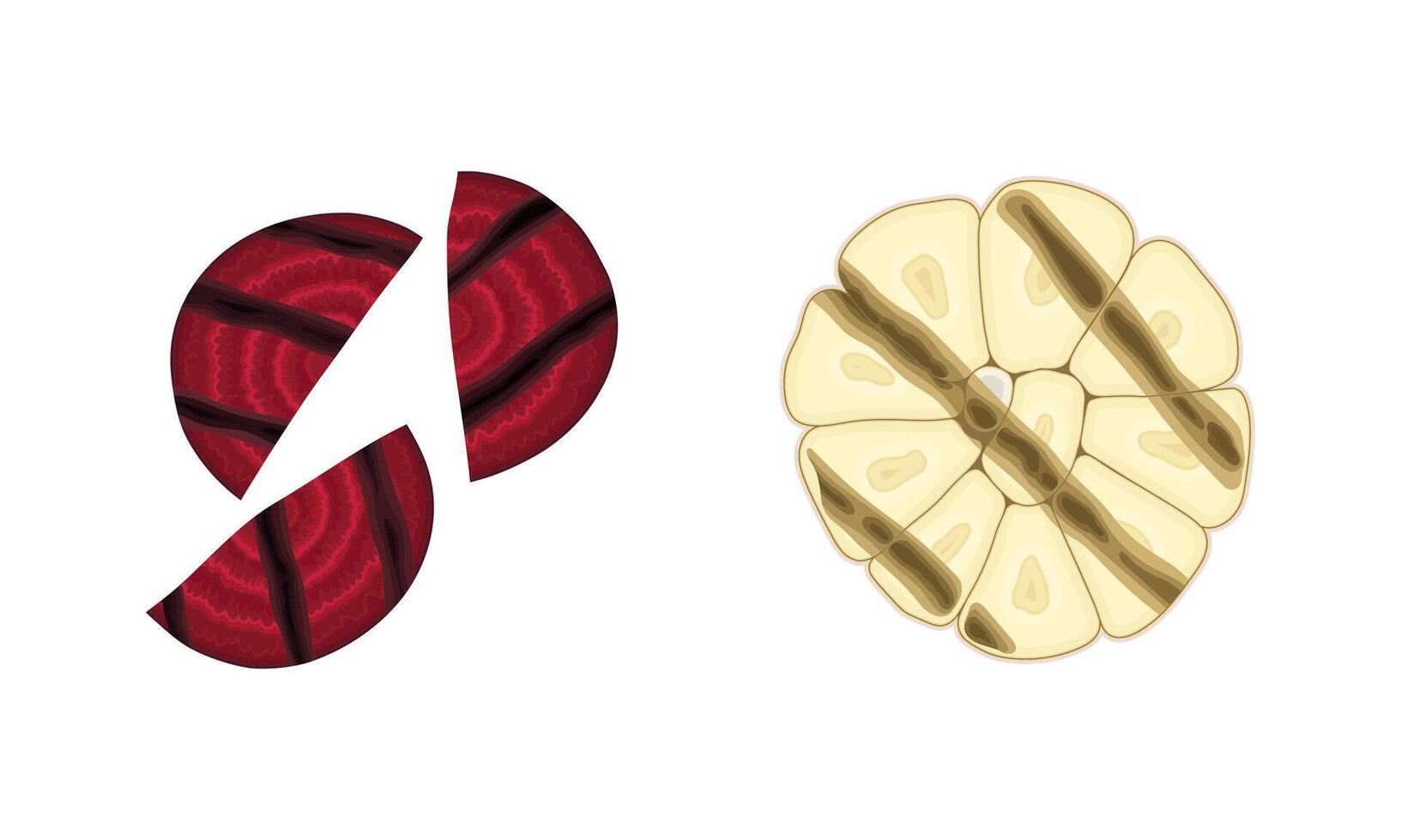 Grilled Beetroot and Garlic as Cooked Food Set vector