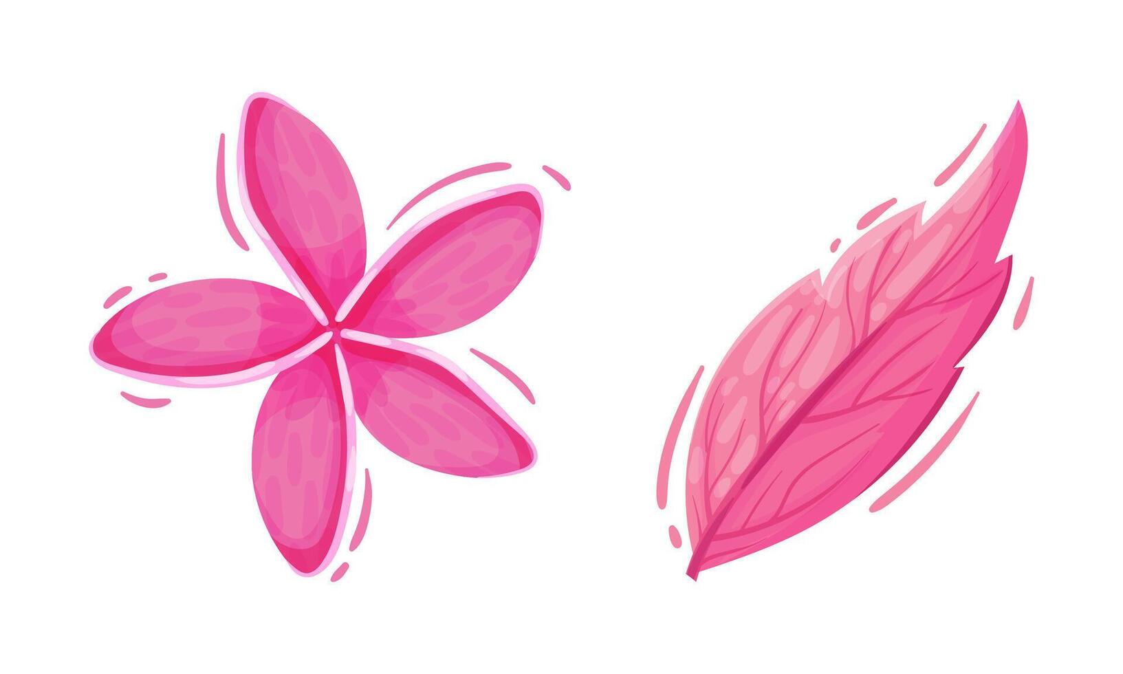 Bright Pink Flower with Plumeria and Leaf Set vector