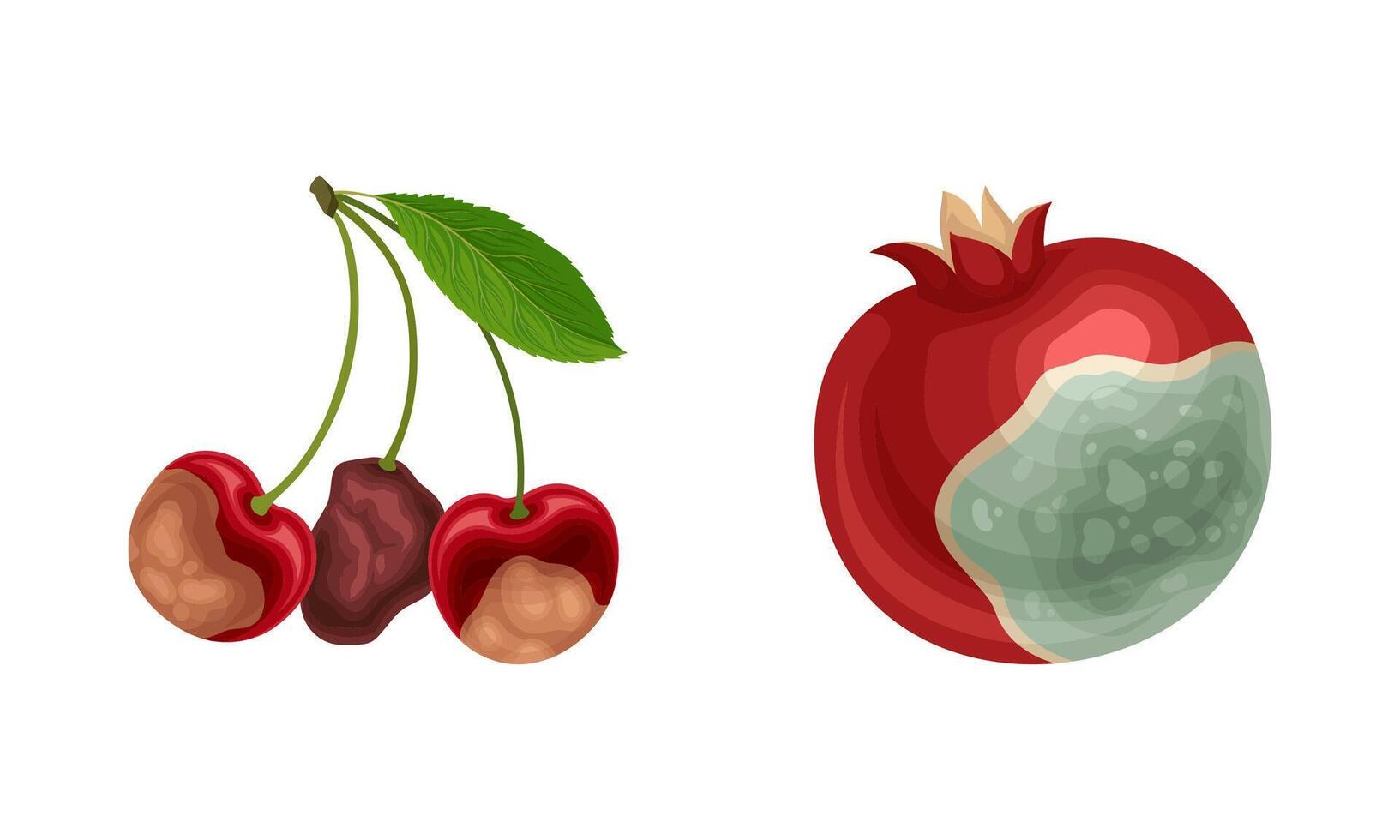 Decomposed Stinky Rotten Fruit with Cherry and Pomegranate Having Bad Spots Set vector
