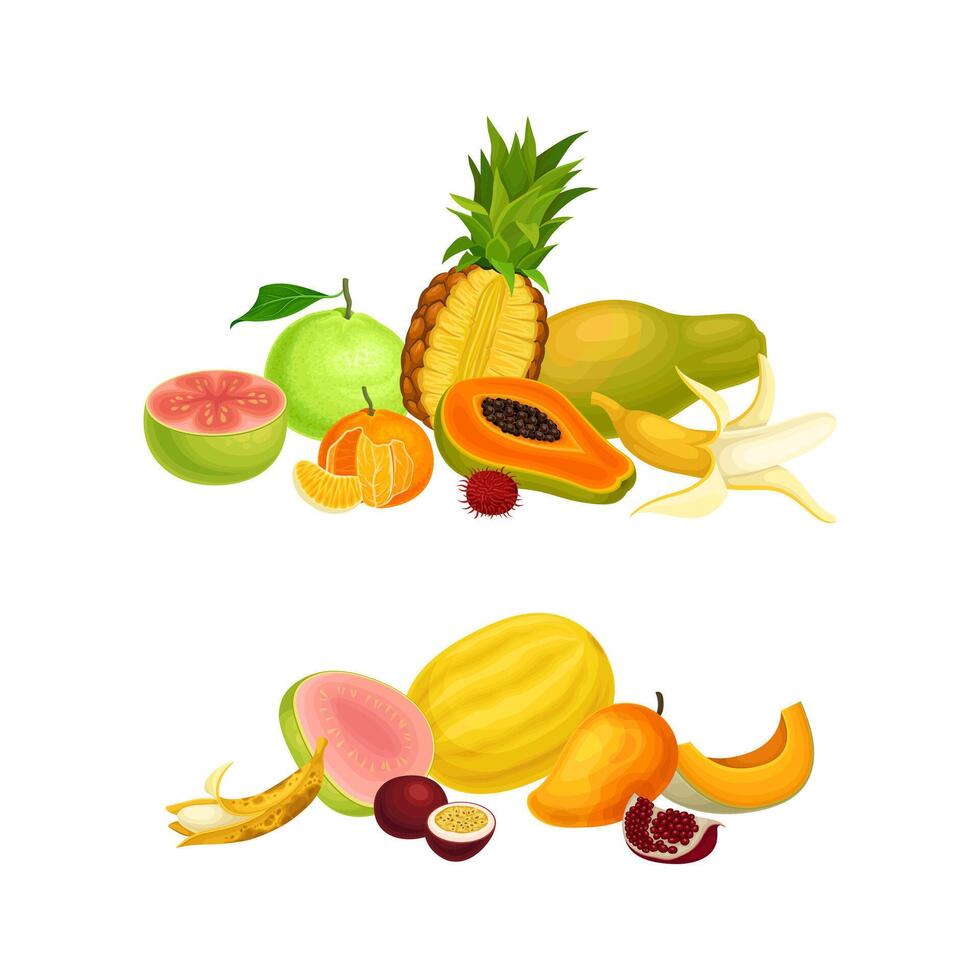 Pile of Bright and Juicy Tropical Fruit with Melon and Pineapple Set vector