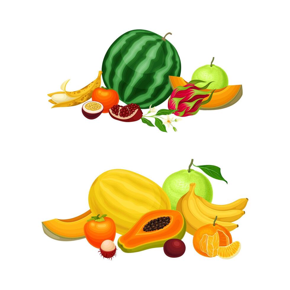 Pile of Bright and Juicy Tropical Fruit with Melon and Watermelon Set vector