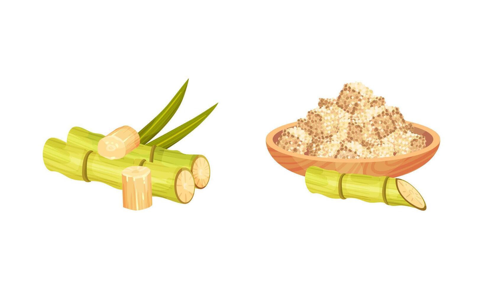 Sugarcane Fibrous Stalk and Pile of Cubes in Bowl Set vector