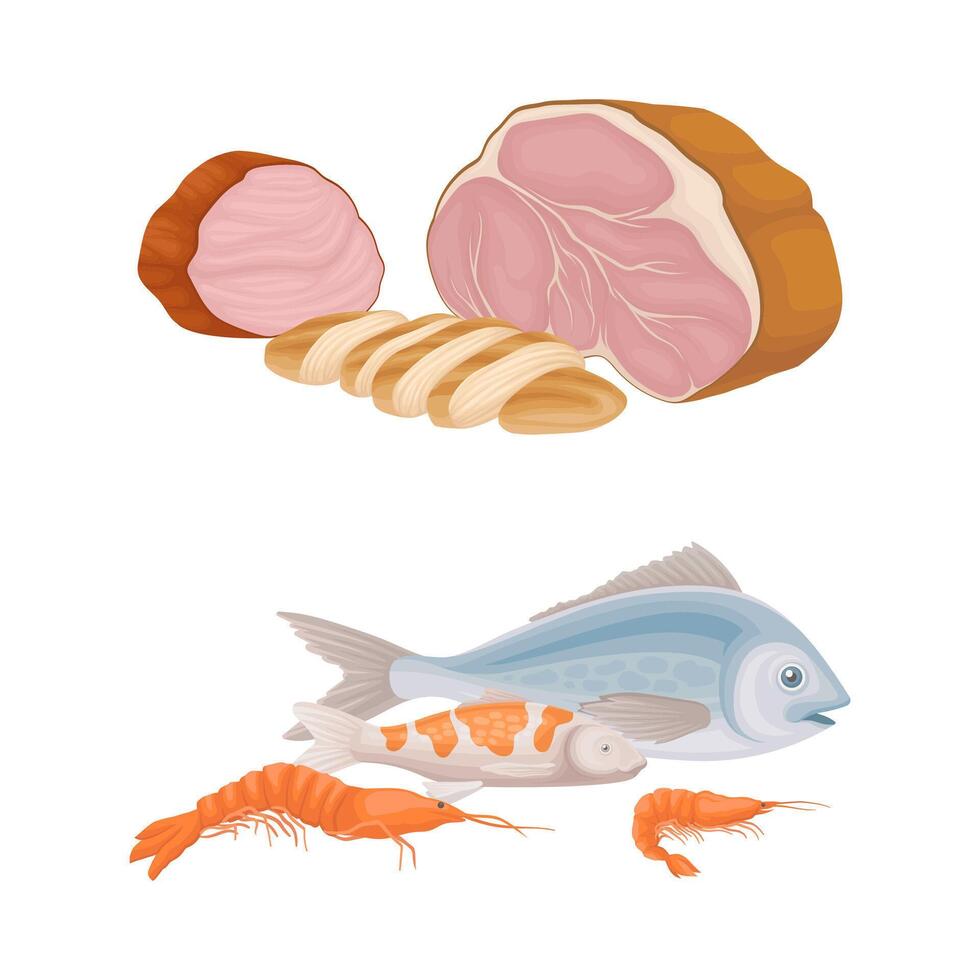 Meat Slab and Seafood with Salmon Fish and Shrimp Set vector