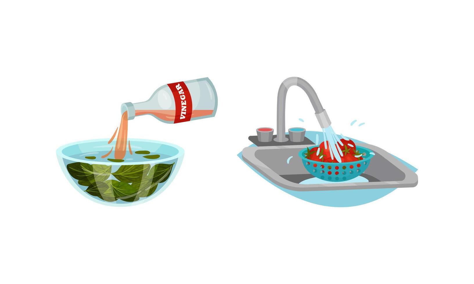 Washing Tomato with Tap Water and Pouring Vinegar in Bowl with Greenery as Vegetable Cooking Process Set. vector