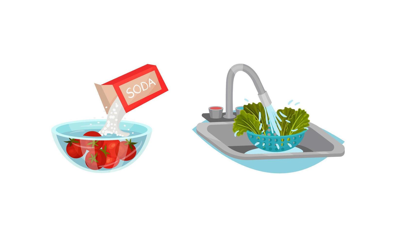 Washing Green Lettuce Leaf with Tap Water and Pouring Soda in Bowl with Tomato as Vegetable Cooking Process Set vector