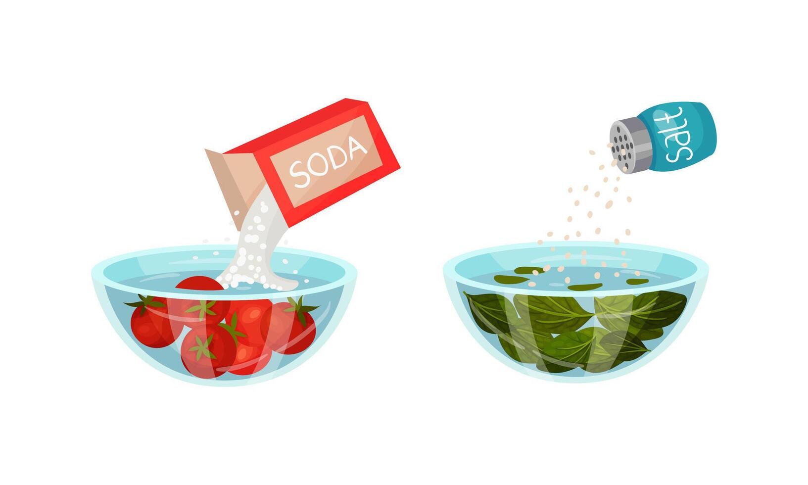 Salting Greenery and Pouring Soda in Bowl with Steeping Tomato as Vegetable Cooking Process Set vector