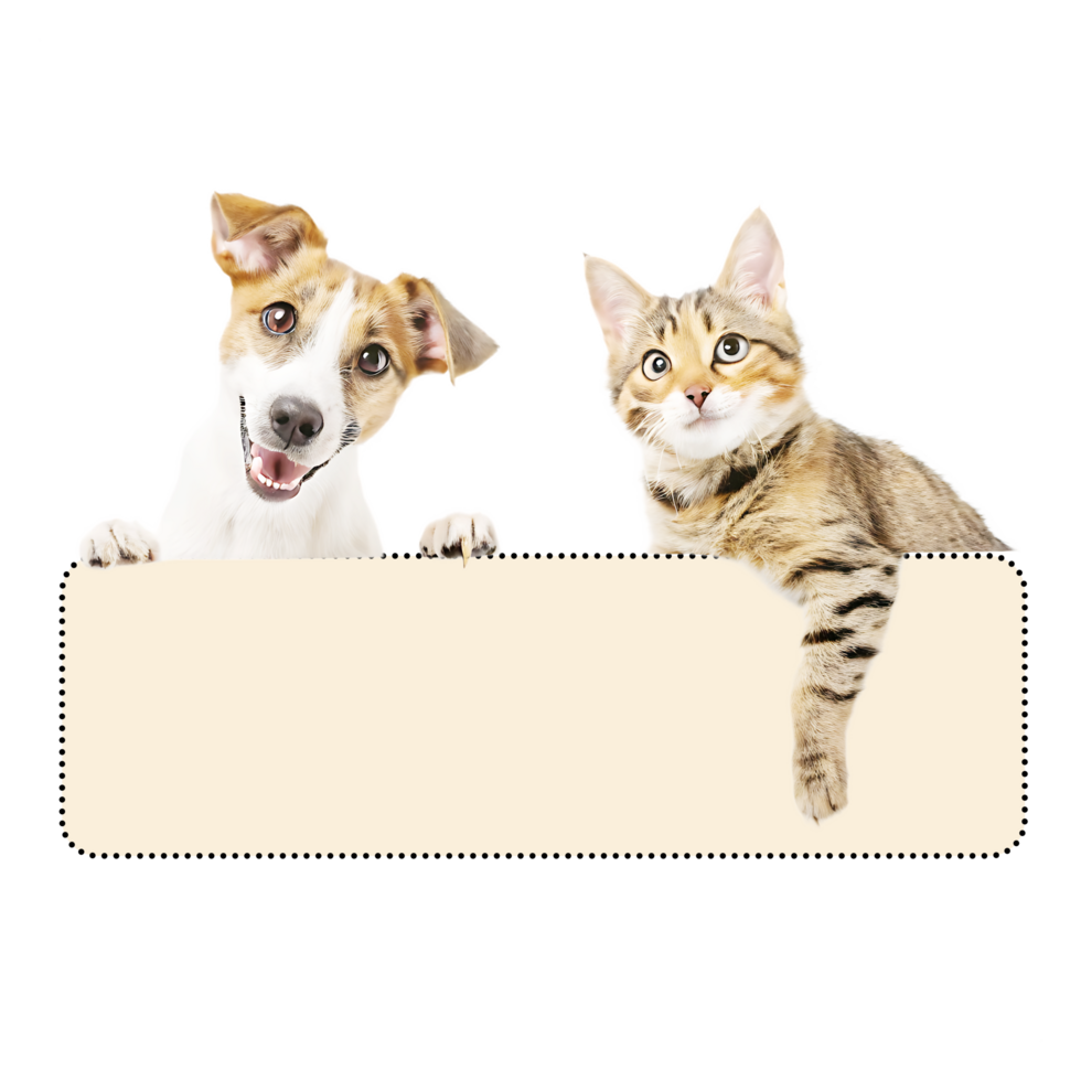 Two dogs and a cat are holding a blank sign png