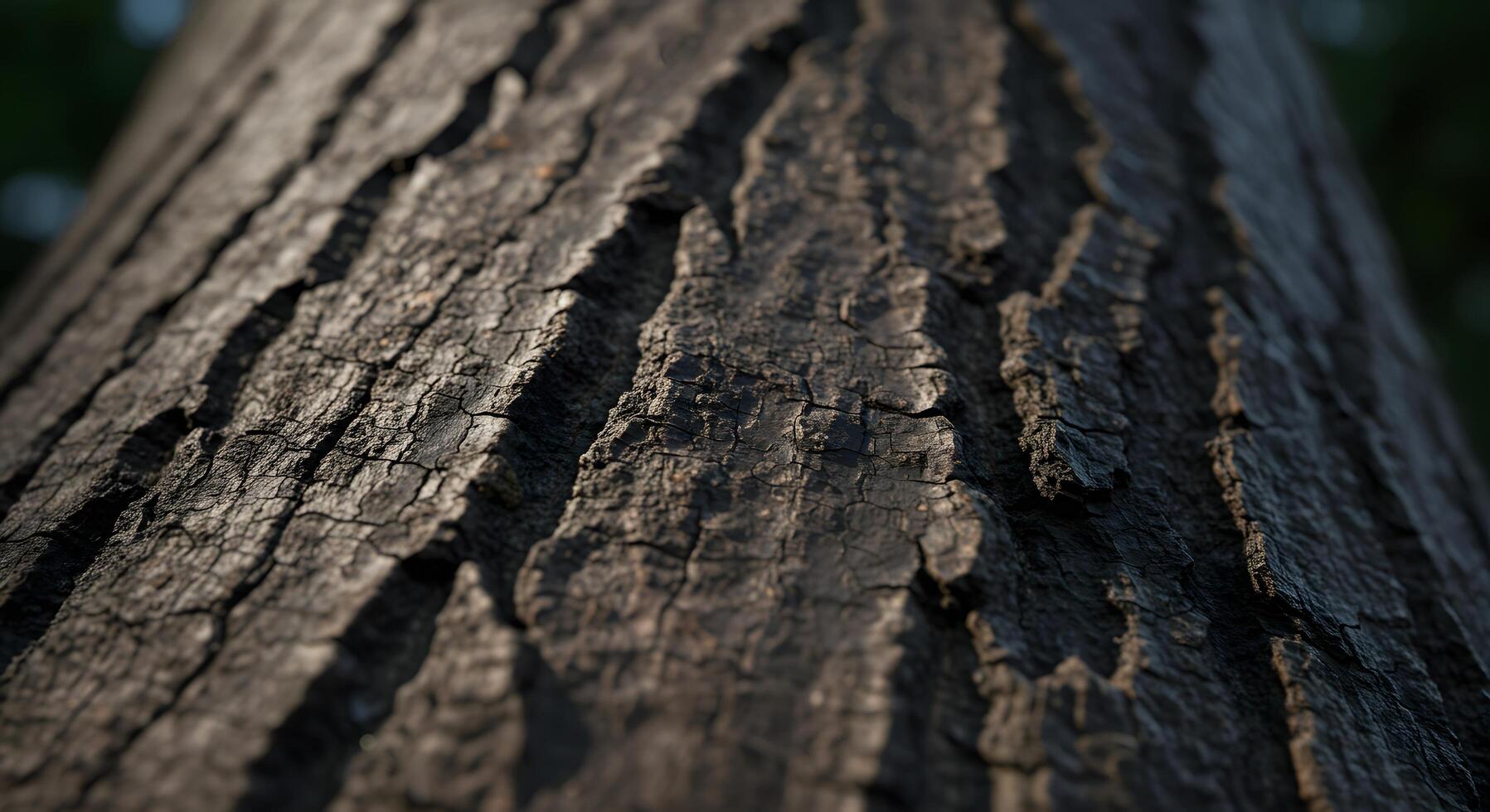 Close up tree bark texture, perfect for wallpaper, outdoor adventure branding, or use in wood-based product mockups. photo