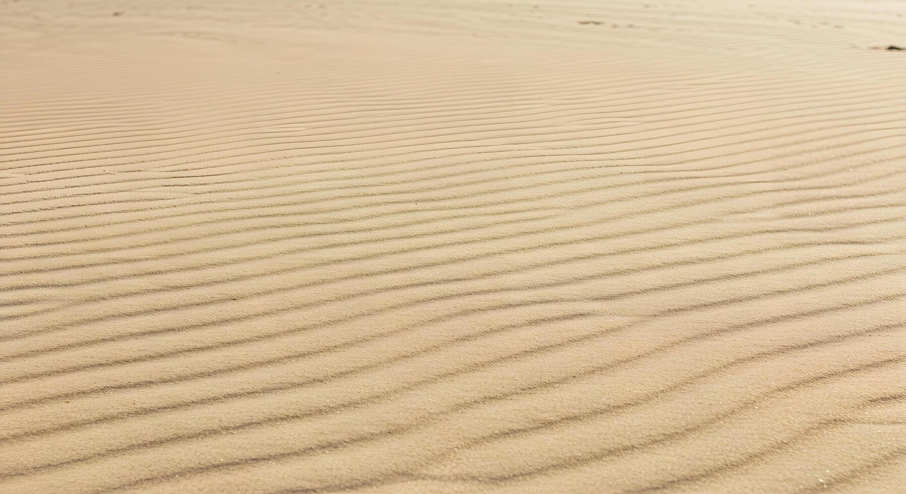 Beige sand texture with rhythmic wavy lines, perfect for clean background use in websites, flyers, or eco-conscious brand visuals. photo