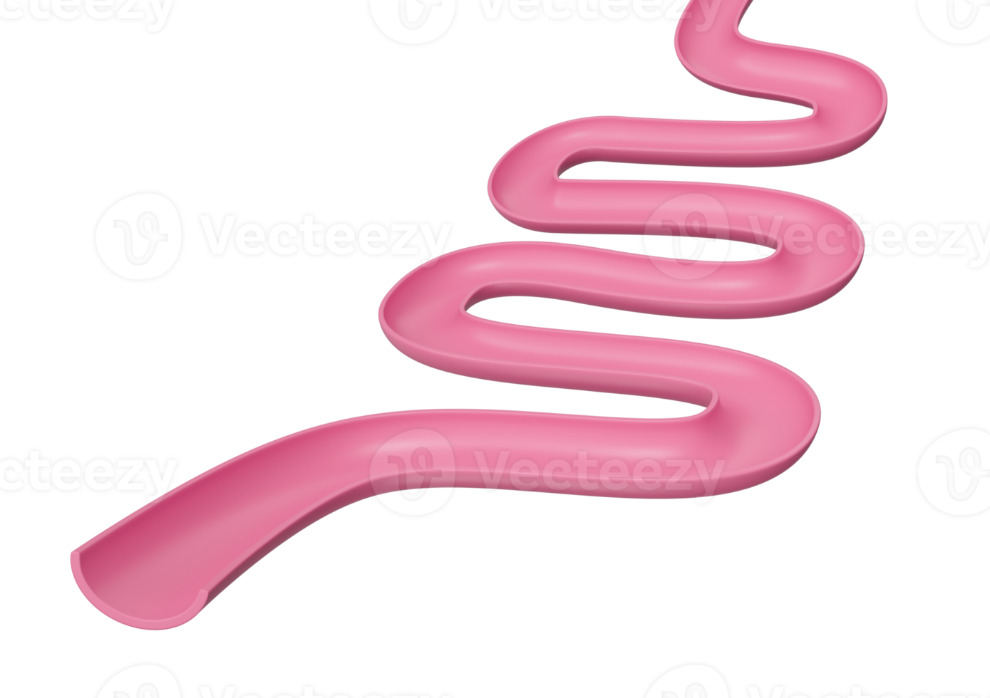 Digestive System Or Intestinal Tract Mockup, 3D Illustration png