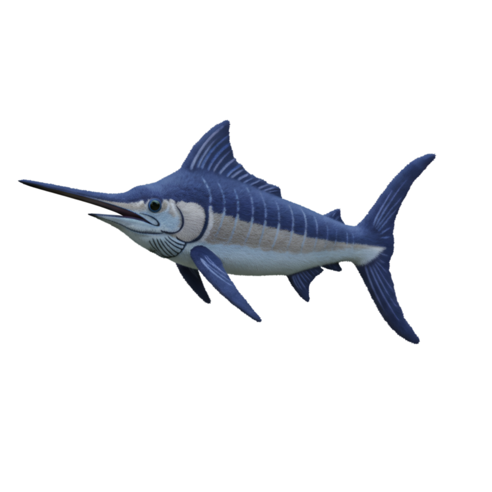 A majestic marlin with its elongated bill and streamlined body against a plain backdrop view image on transparent background png