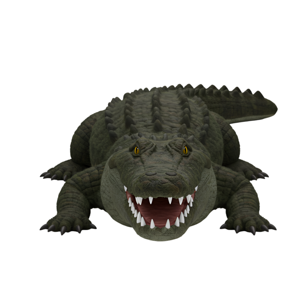 A menacing alligator with sharp teeth and yellow eyes staring forward on a plain setting view image on transparent background png