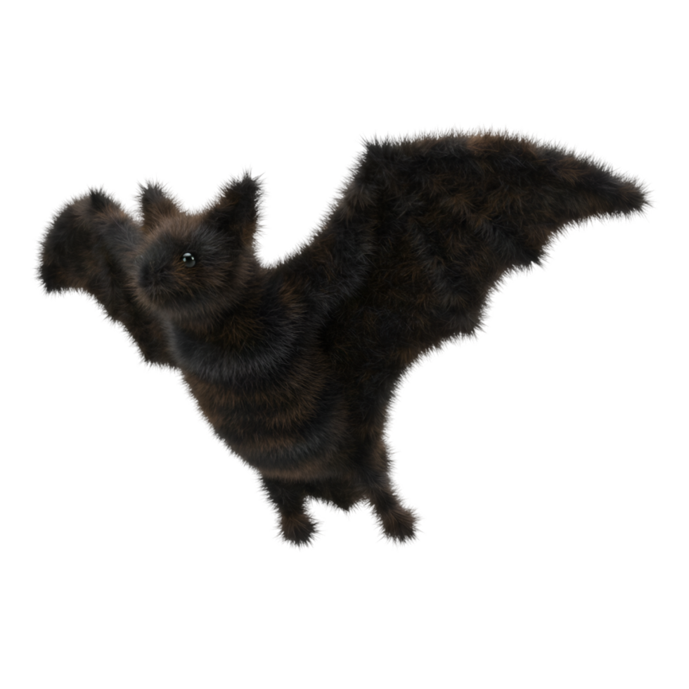 A fuzzy animal with wings in a pose against a plain backdrop in a studio setting indoors on transparent background png