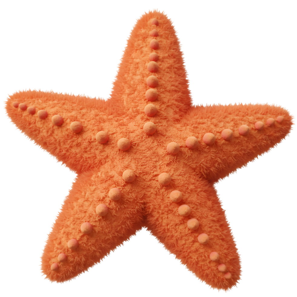 A single orange starfish featuring a textured surface and small bumps against a plain backdrop on transparent background png