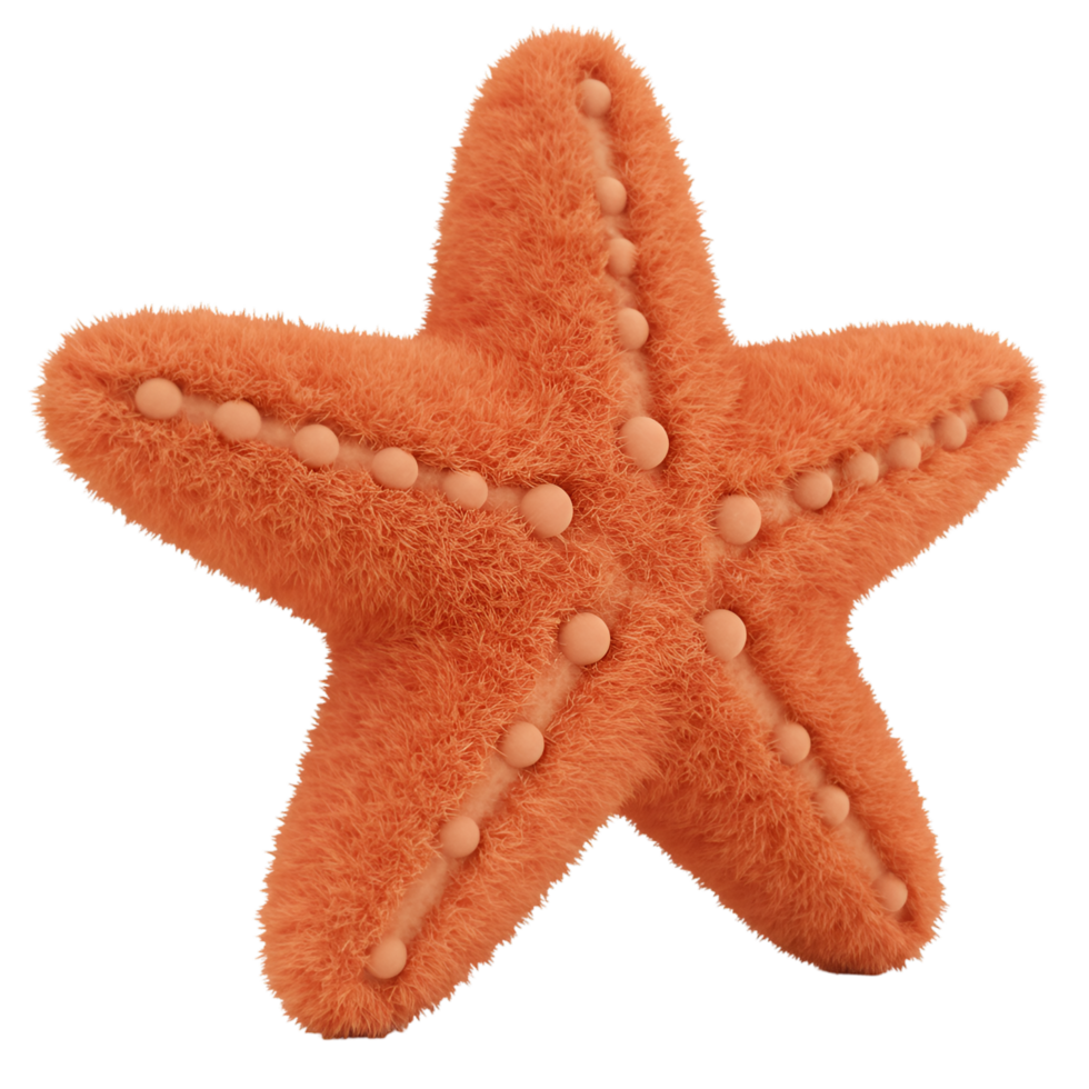 Close up of an orange starfish with small round spheres on each arm against a plain backdrop on transparent background png
