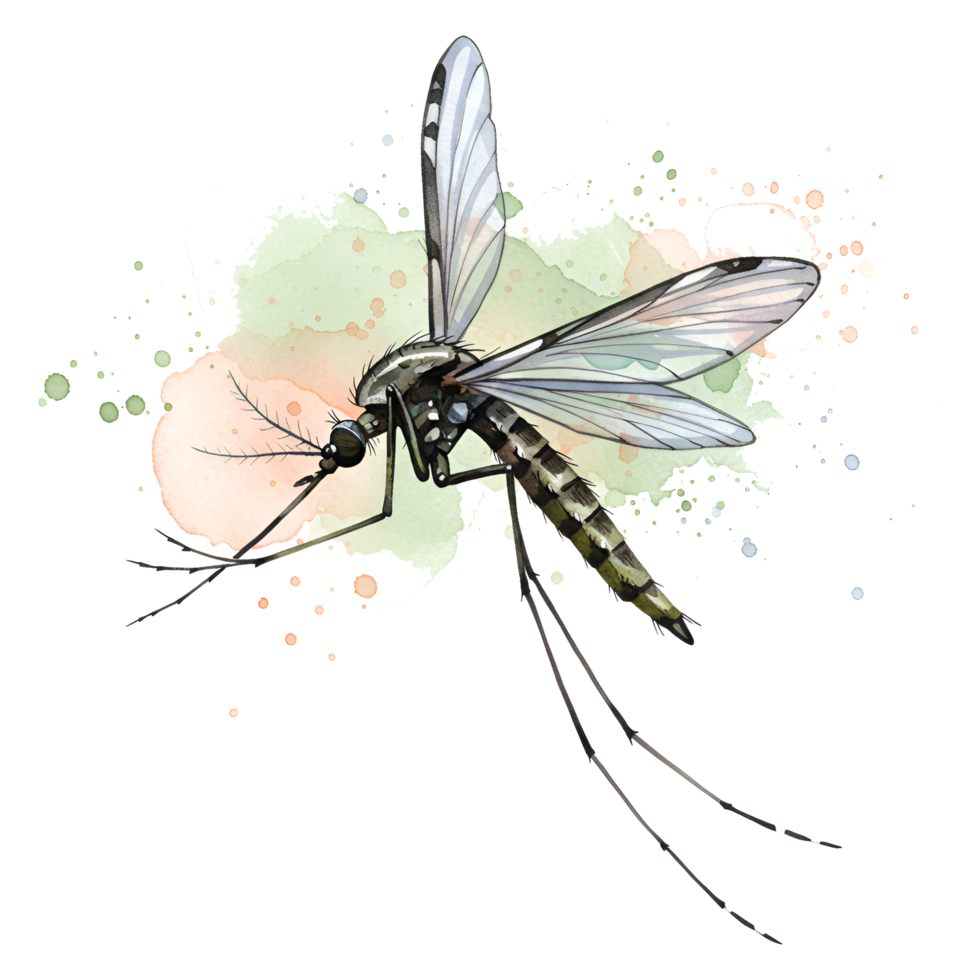 A mosquito with patterned wings and legs against a light watercolor splash design element on a canvas on transparent background png