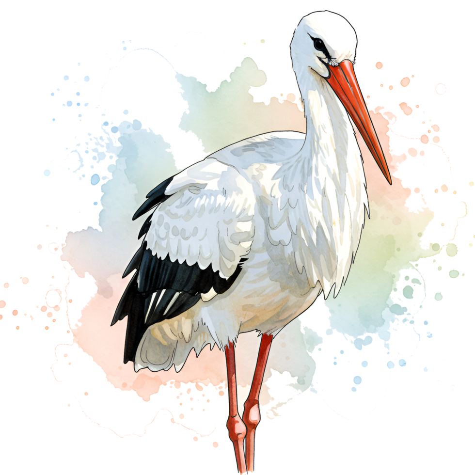 A detailed rendering of a white stork with orange beak and legs standing in a colorful setting on transparent background png