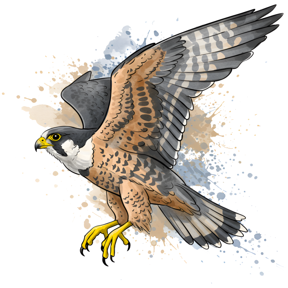 Illustration of a falcon with spread wings in flight against a watercolor style background design on transparent background png