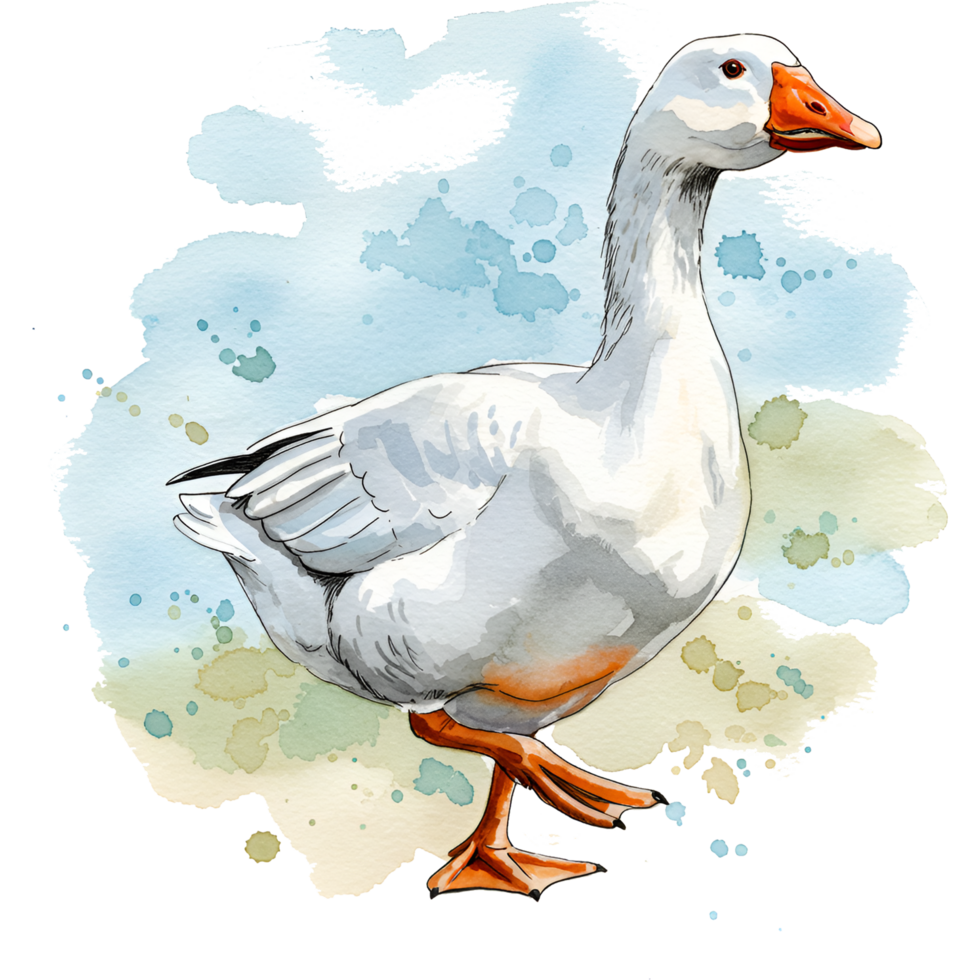 A watercolor style rendition of a goose standing on one leg with a splashy artistic surrounding on transparent background png