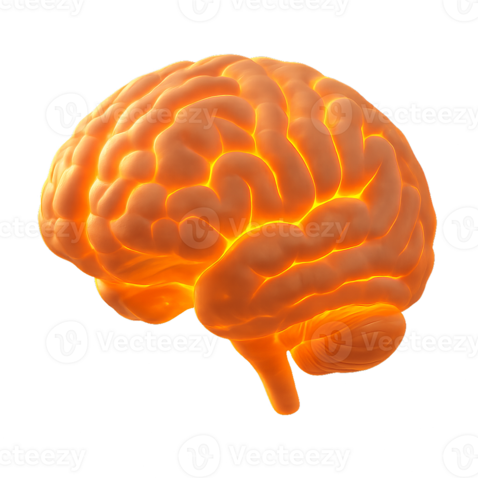 Glowing 3D Brain Model with Simple Design and Radiant Effect png