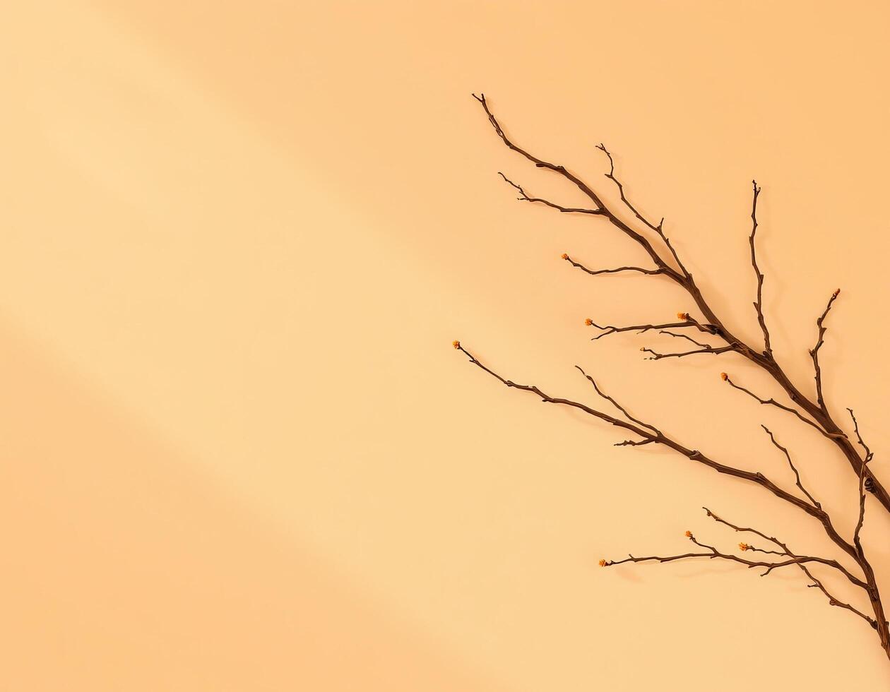 Minimalist dry twig with small buds on soft beige background creating calm mood photo