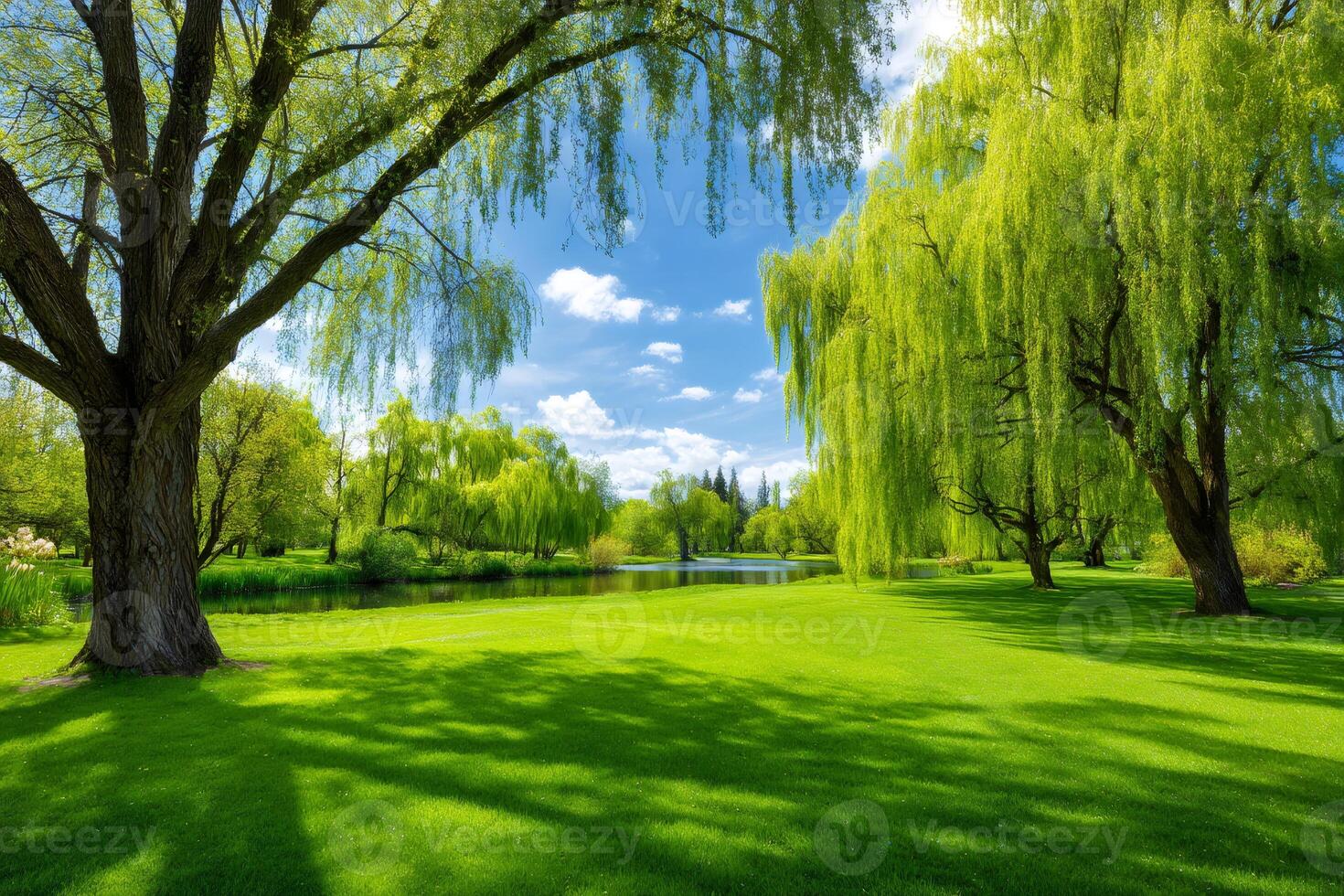 Green trees growing near calm lake in peaceful park photo