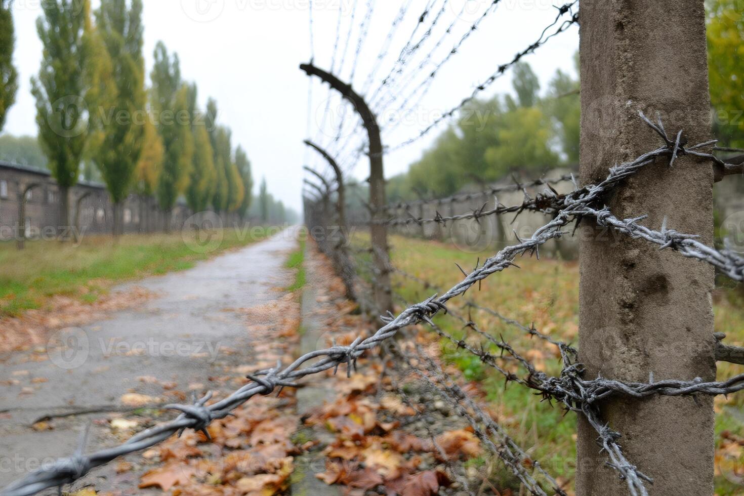 Barbed wire fence leading path to auschwitz birkenau concentration camp photo