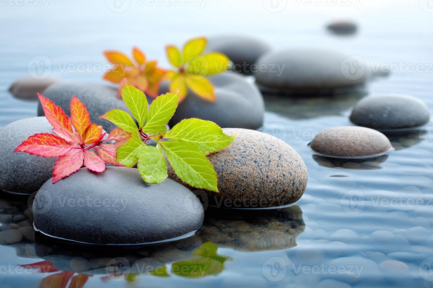 Autumn leaves resting on zen stones in shallow water photo