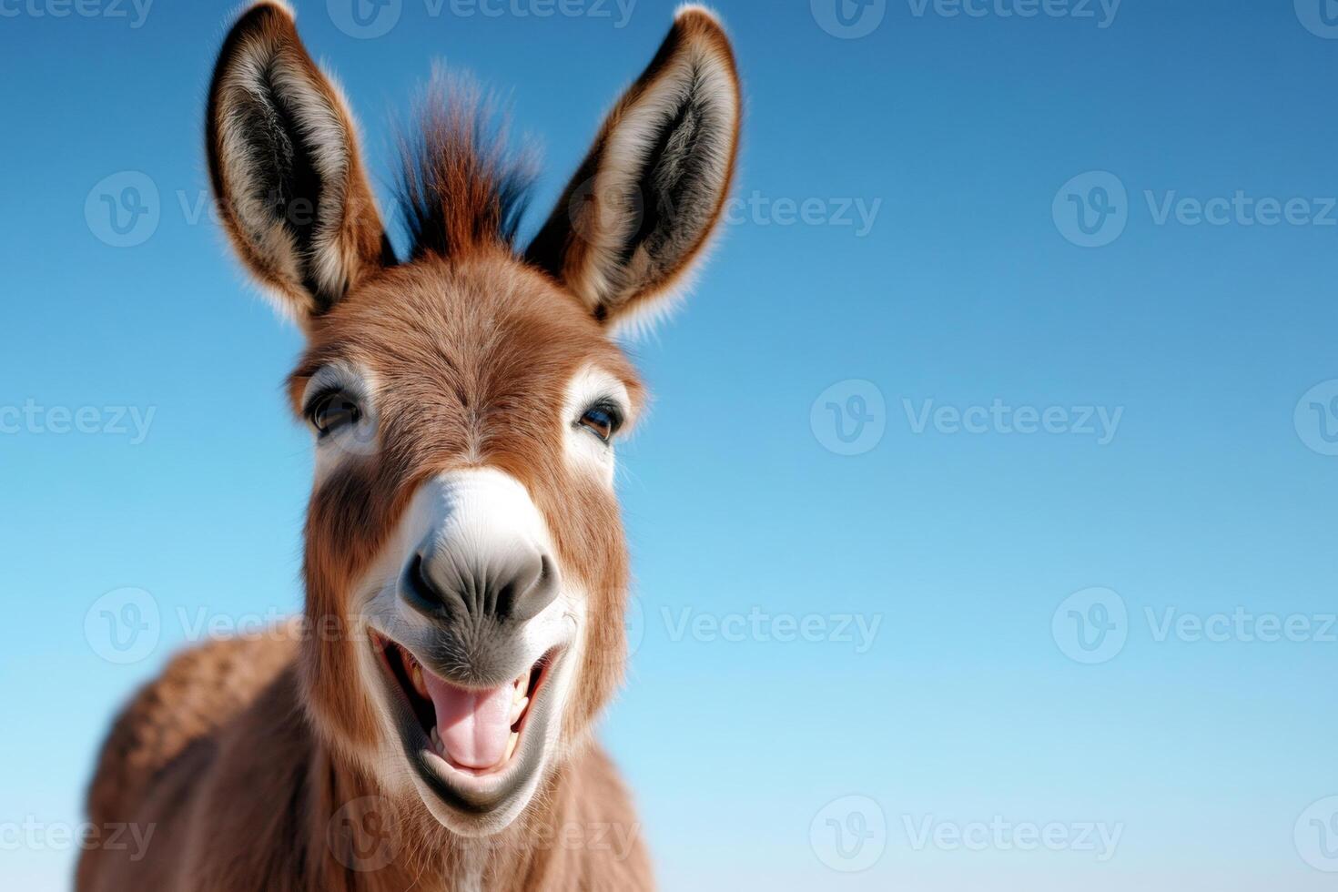 Donkey smiling with mouth open and clear blue sky photo